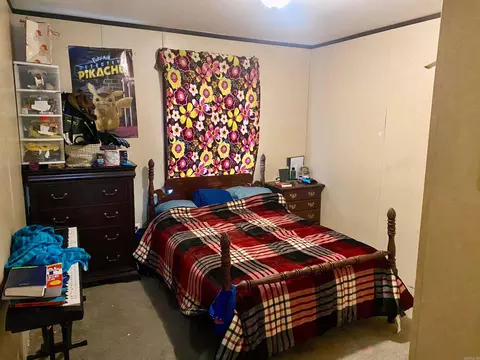 Bedroom - 9 Olivia Ln, Conway, AR 72032 photo 3 of 4