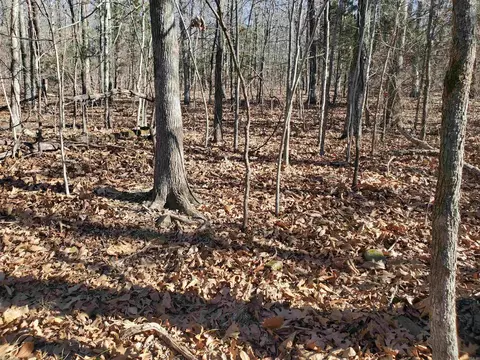 15776 Hwy 74 E Tract #1, Marshall, AR 72650