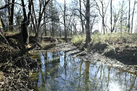 tbd Old Boles Rd, Parks, AR 72950 photo 43