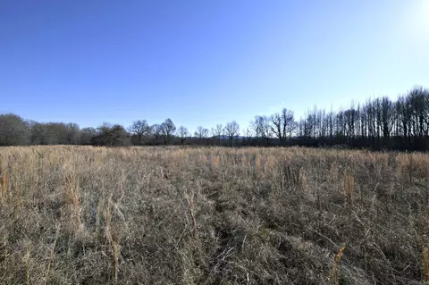 tbd Old Boles Rd, Parks, AR 72950 photo 11