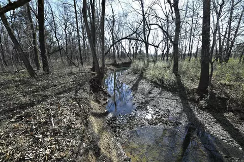tbd Old Boles Rd, Parks, AR 72950 photo 41