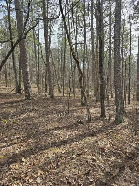 lot010 Palencia, Hot Springs Village, AR 71909
