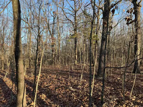 Prayer Mountain Drive, Harrison, AR 72601 photo 10