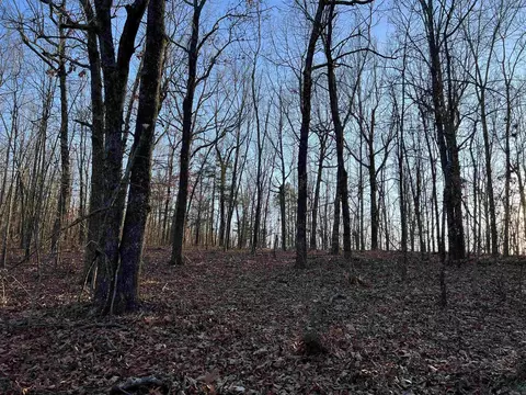 Prayer Mountain Drive, Harrison, AR 72601 photo 12
