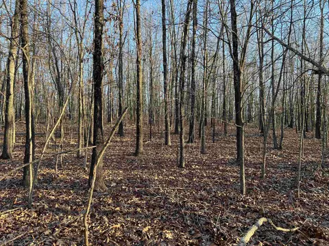 Prayer Mountain Drive, Harrison, AR 72601 photo 5