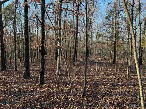 Prayer Mountain Drive, Harrison, AR 72601 photo 6