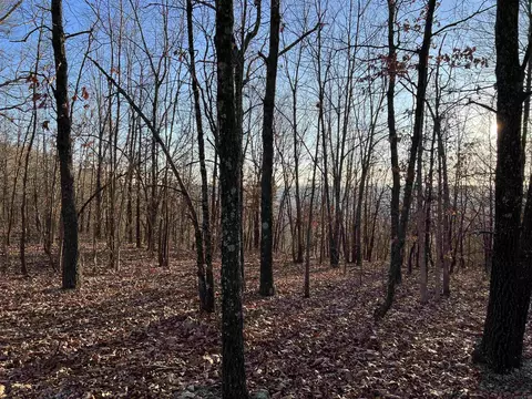 Prayer Mountain Drive, Harrison, AR 72601 photo 3
