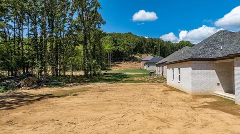 75 Turkey Roost, Quitman, AR 72131 photo 43