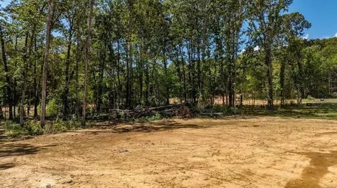75 Turkey Roost, Quitman, AR 72131 photo 42