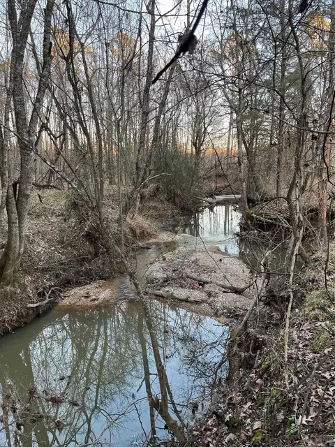 0 N Brice Horton Rd, Delight, AR 71940