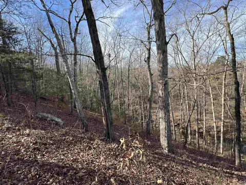 000 Shiloh Rd, Mcrae, AR 72102 photo 11