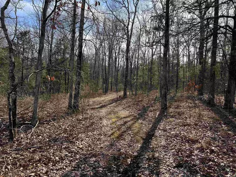 000 Shiloh Rd, Mcrae, AR 72102 photo 7
