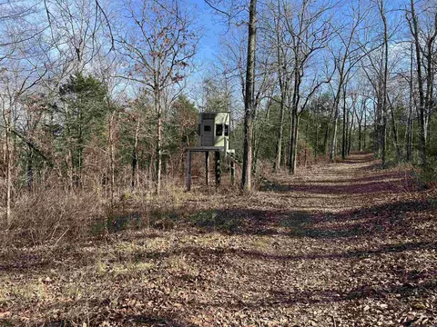 000 Shiloh Rd, Mcrae, AR 72102 photo 5