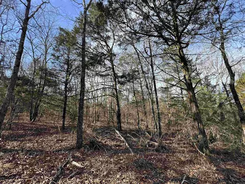 000 Shiloh Rd, Mcrae, AR 72102 photo 6