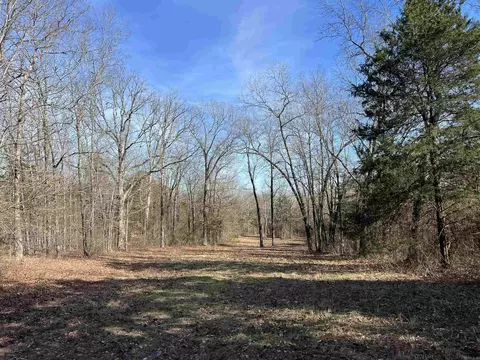 000 Shiloh Rd, Mcrae, AR 72102 photo 29