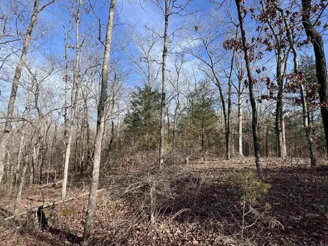000 Shiloh Rd, Mcrae, AR 72102 photo 8