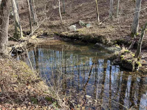 000 Shiloh Rd, Mcrae, AR 72102 photo 24