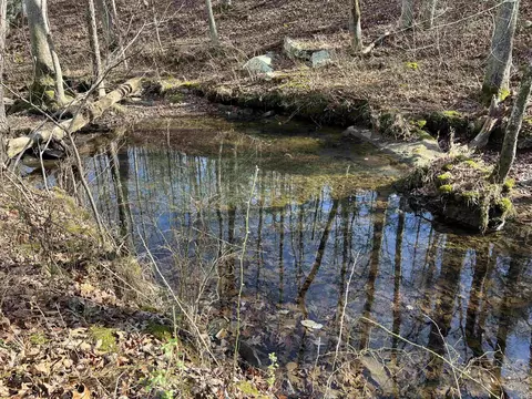 000 Shiloh Rd, Mcrae, AR 72102 photo 14