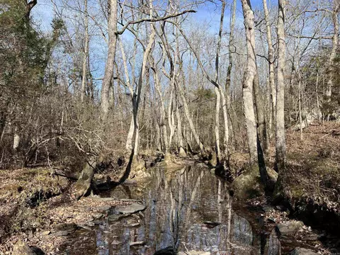 000 Shiloh Rd, Mcrae, AR 72102 photo 26