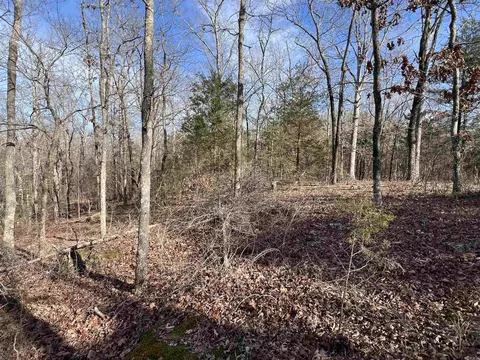 000 Shiloh Rd, Mcrae, AR 72102 photo 9