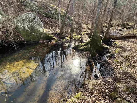 000 Shiloh Rd, Mcrae, AR 72102 photo 21