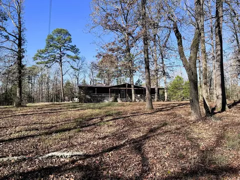 77 Piney Rd, Bigelow, AR 72016 photo 3