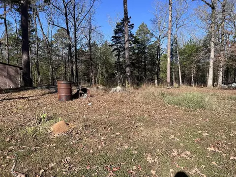 77 Piney Rd, Bigelow, AR 72016 photo 23