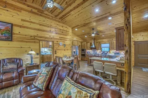 Living - 3630 Nc 3850, Jasper, AR 72641 photo 2 of 3