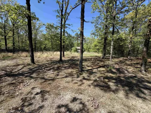74 Happy Valley Dr, Conway, AR 72034