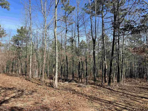 698 Old Hwy 66, Leslie, AR 72645 photo 10