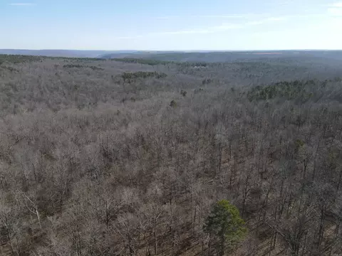 698 Old Hwy 66, Leslie, AR 72645 photo 5