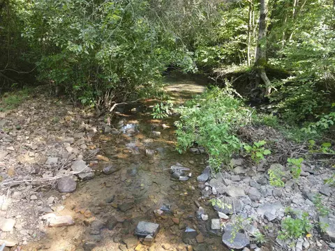 698 Old Hwy 66, Leslie, AR 72645 photo 11