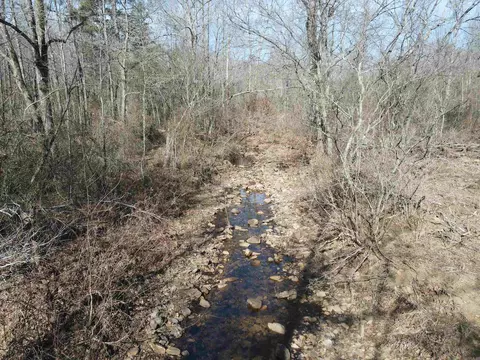 698 Old Hwy 66, Leslie, AR 72645 photo 6