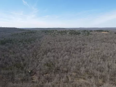 698 Old Hwy 66, Leslie, AR 72645 photo 4
