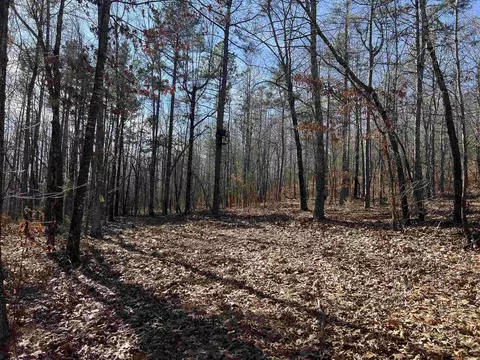 698 Old Hwy 66, Leslie, AR 72645 photo 9