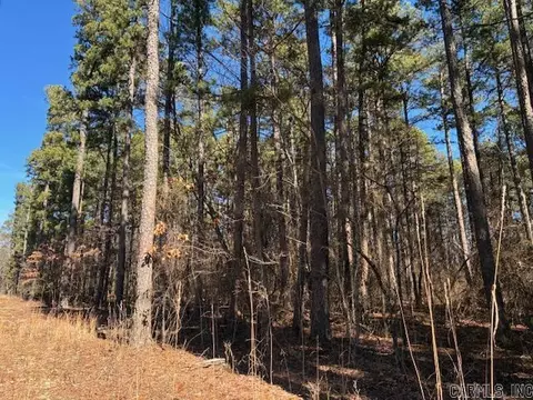 0 Emery Rd, Clinton, AR 72031 photo 6
