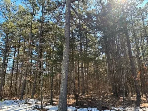 0 Emery Rd, Clinton, AR 72031 photo 3