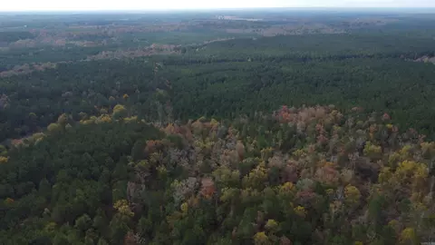 000 Hwy 51 Lot #WP002, Joan, AR 71923