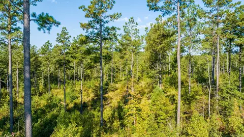 1008 Granite Cv, Benton, AR 72019 photo 50