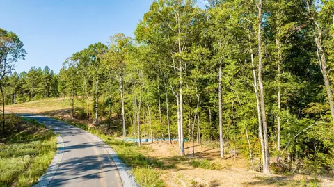 1008 Granite Cv, Benton, AR 72019 photo 45