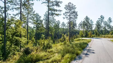 1008 Granite Cv, Benton, AR 72019 photo 49