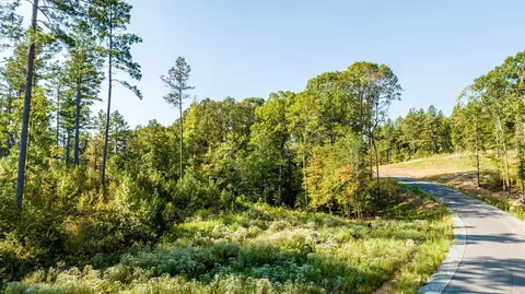 1008 Granite Cv, Benton, AR 72019 photo 44