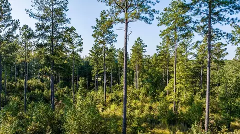 1008 Granite Cv, Benton, AR 72019 photo 27