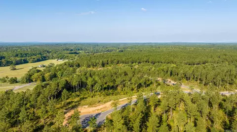 1008 Granite Cv, Benton, AR 72019 photo 10