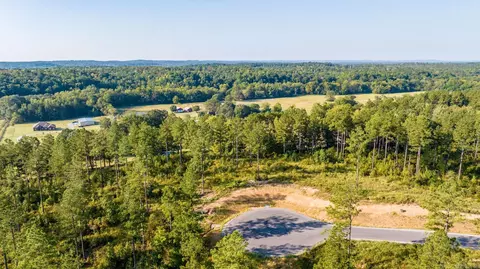 1008 Granite Cv, Benton, AR 72019 photo 6