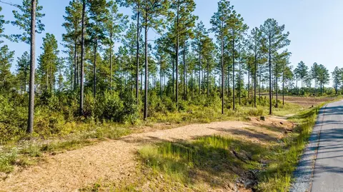 1008 Granite Cv, Benton, AR 72019 photo 42
