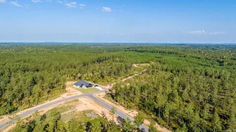 1008 Granite Cv, Benton, AR 72019 photo 20