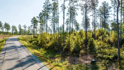 1008 Granite Cv, Benton, AR 72019 photo 43