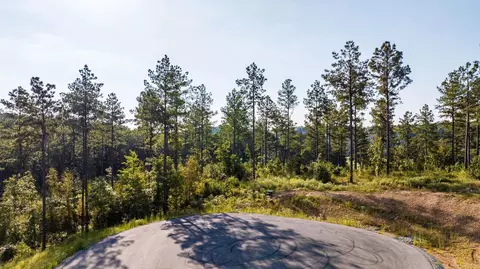 1008 Granite Cv, Benton, AR 72019 photo 8