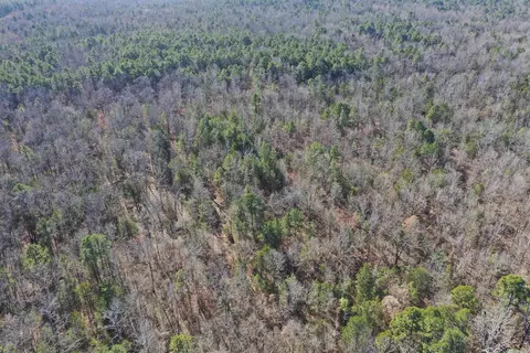 0000 Hwy 22, Delaware, AR 72835 photo 8
